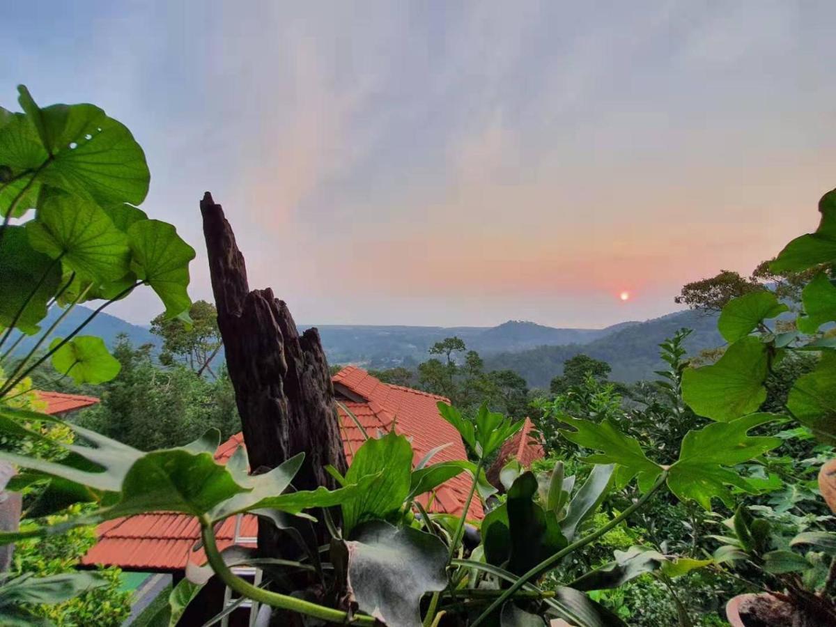 Willa Bao Sheng Durian Farm Balik Pulau Zewnętrze zdjęcie